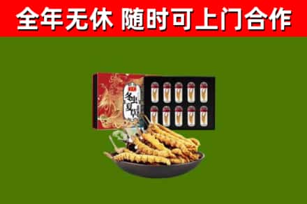 滨江回收冬虫夏草价格