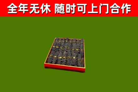 滨江回收海参
